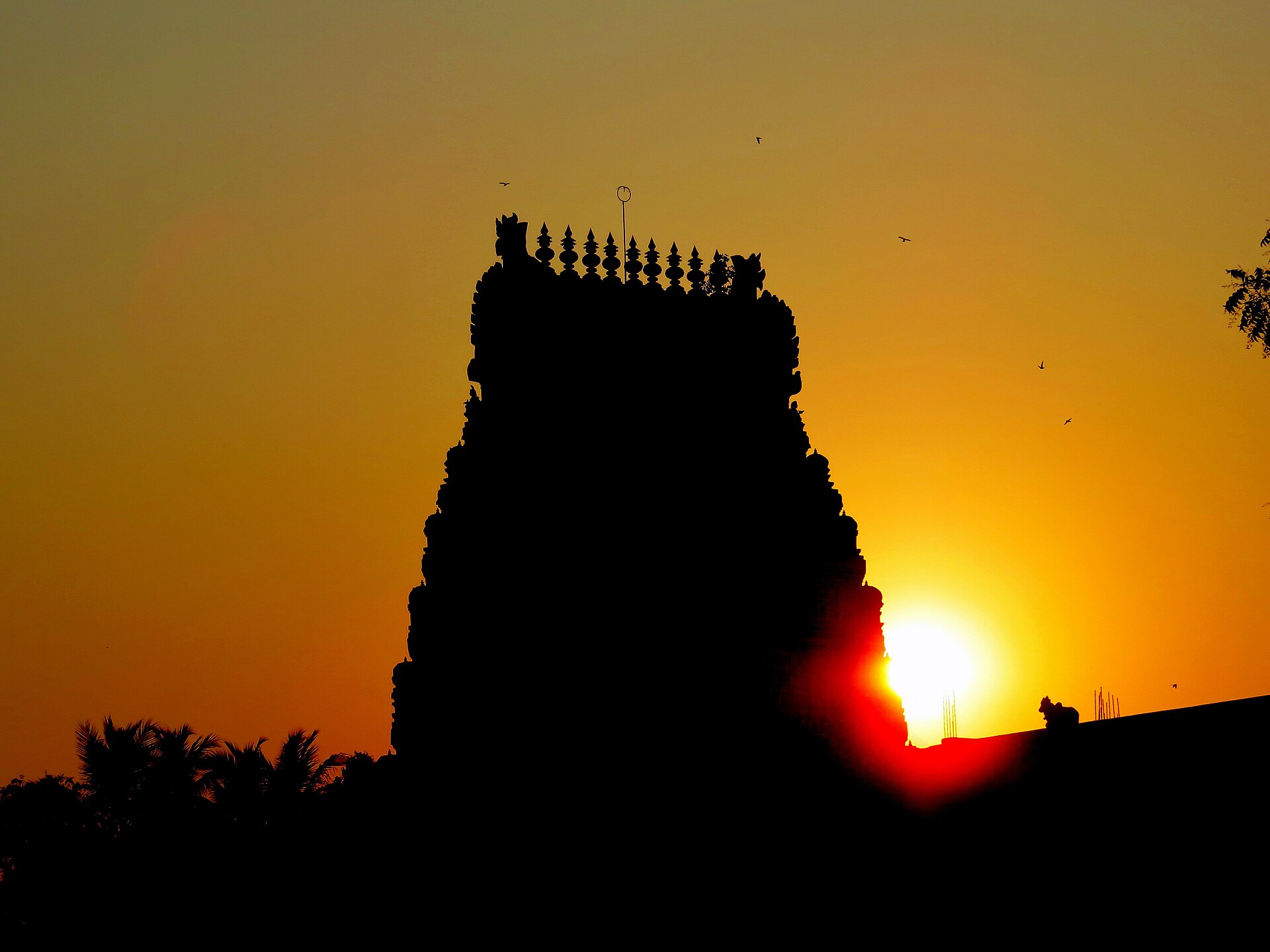 Silhouette of the Naganathar Temple gopuram at Thirunageswaram at sunset